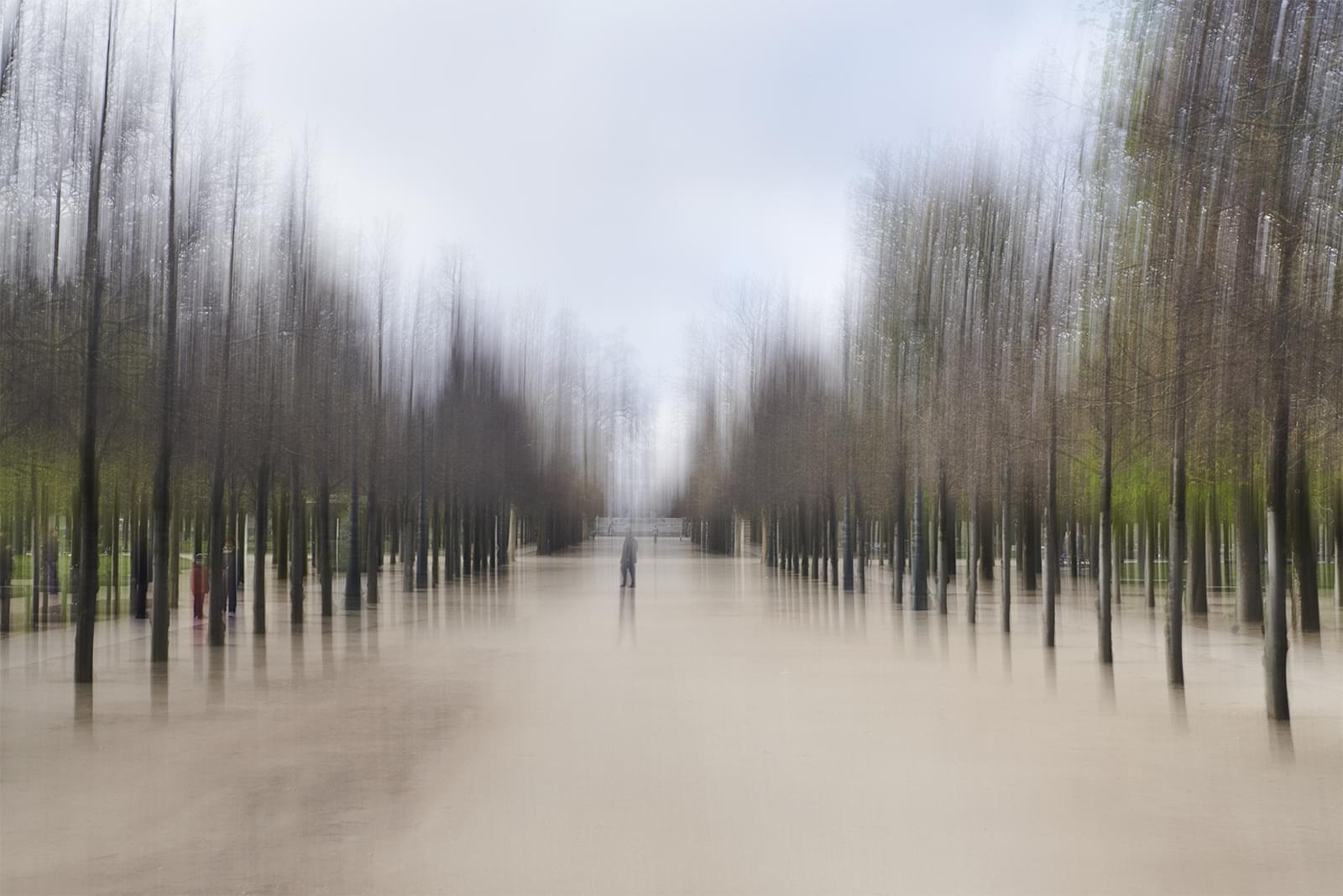 Allée arborée du jardin des Tuileries 